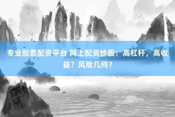 专业股票配资平台 网上配资炒股：高杠杆，高收益？风险几何？