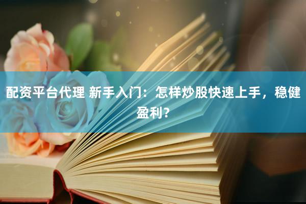 配资平台代理 新手入门：怎样炒股快速上手，稳健盈利？
