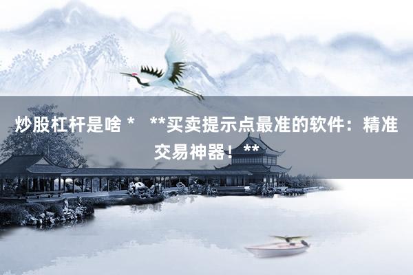炒股杠杆是啥 *   **买卖提示点最准的软件：精准交易神器！**