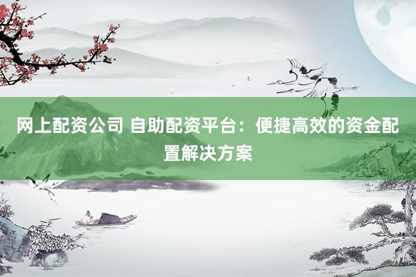 网上配资公司 自助配资平台：便捷高效的资金配置解决方案