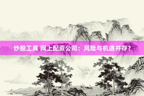 炒股工具 网上配资公司：风险与机遇并存？