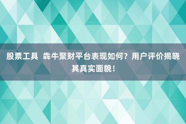 股票工具  犇牛聚财平台表现如何？用户评价揭晓其真实面貌！