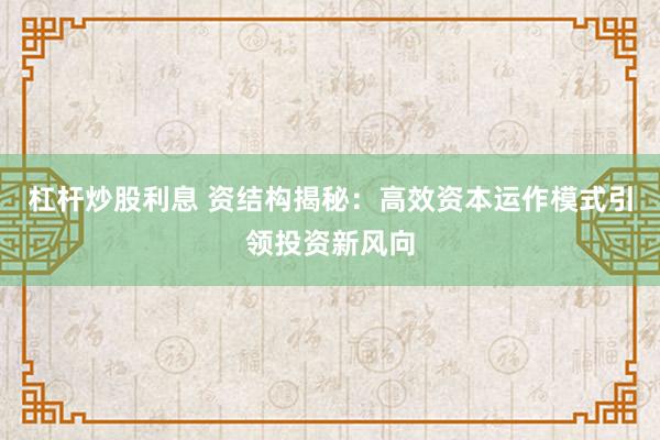 杠杆炒股利息 资结构揭秘:高效资本运作模式引领投资新风向