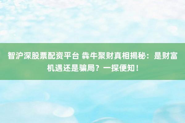 智沪深股票配资平台 犇牛聚财真相揭秘:是财富机遇还是骗局?一探便知!