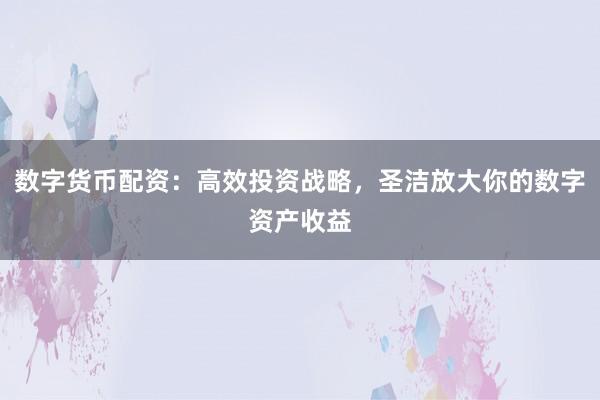 数字货币配资：高效投资战略，圣洁放大你的数字资产收益