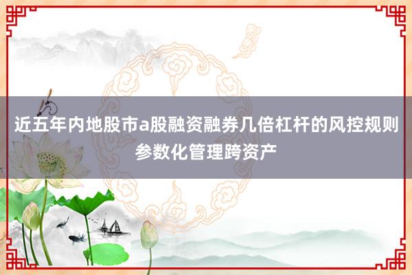 近五年内地股市a股融资融券几倍杠杆的风控规则参数化管理跨资产