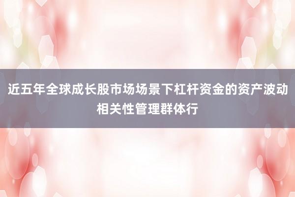 近五年全球成长股市场场景下杠杆资金的资产波动相关性管理群体行