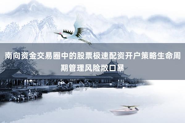南向资金交易圈中的股票极速配资开户策略生命周期管理风险敞口暴